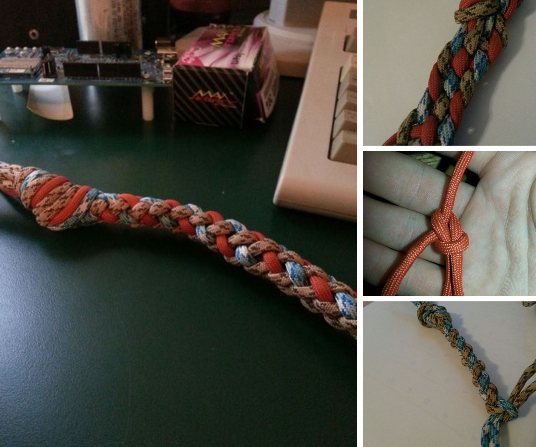 Furrysalamander's Knots