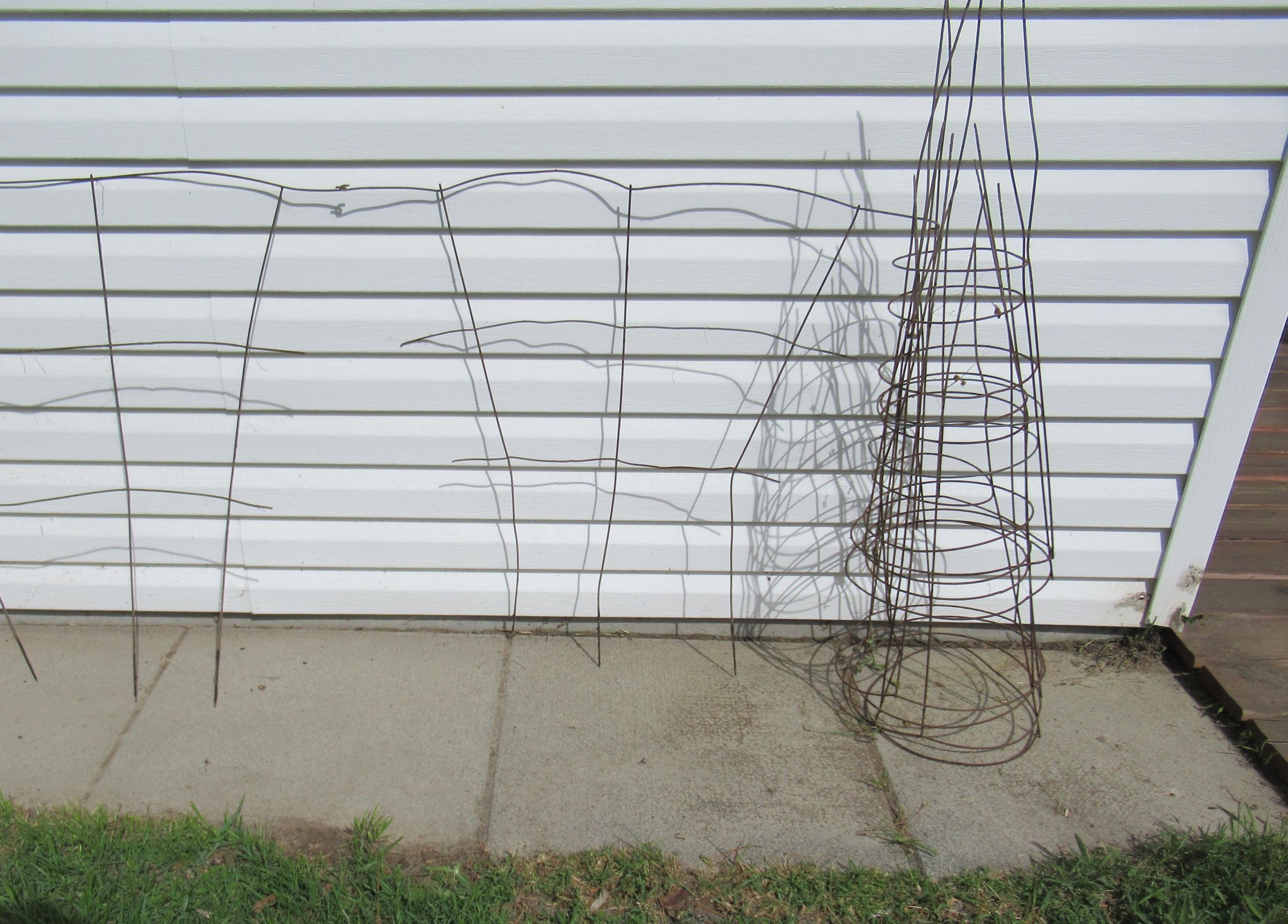 Pea Trellis From Old Tomato Cages