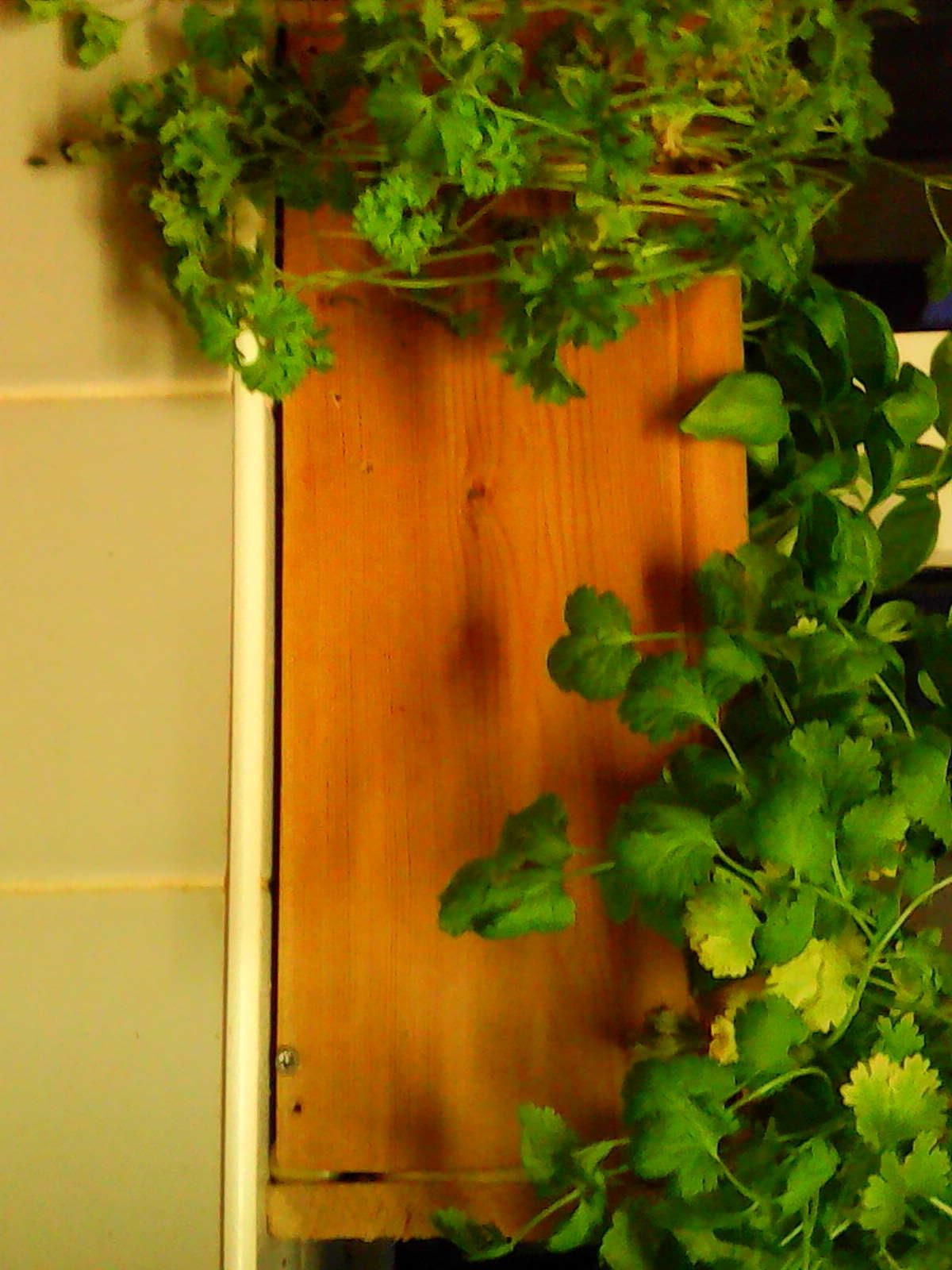 My Awesome Herb Planter Easily 4 Steps Instructables