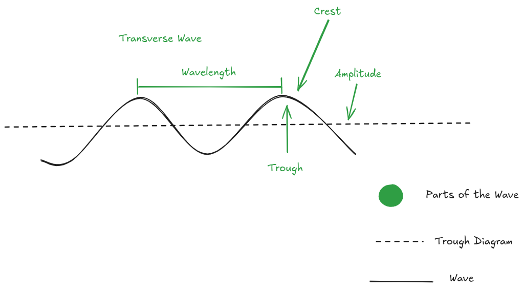 Parts Of A Transverse Wave Waves, Light, Sound, Heat
