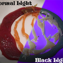 Eatable Fluorescent Caramel Candies