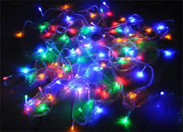 After Putting in Bucket and Watering... It's Now Time for the Lights