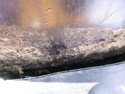 Retrieve the Spanner