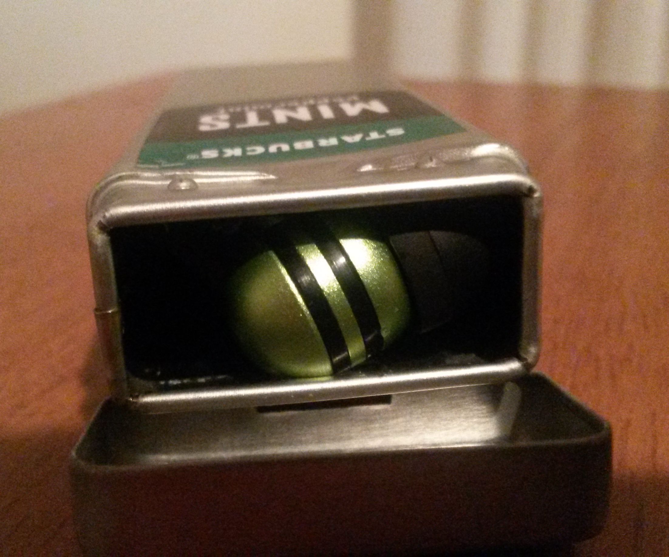 The Traveling Earbud Organizer 