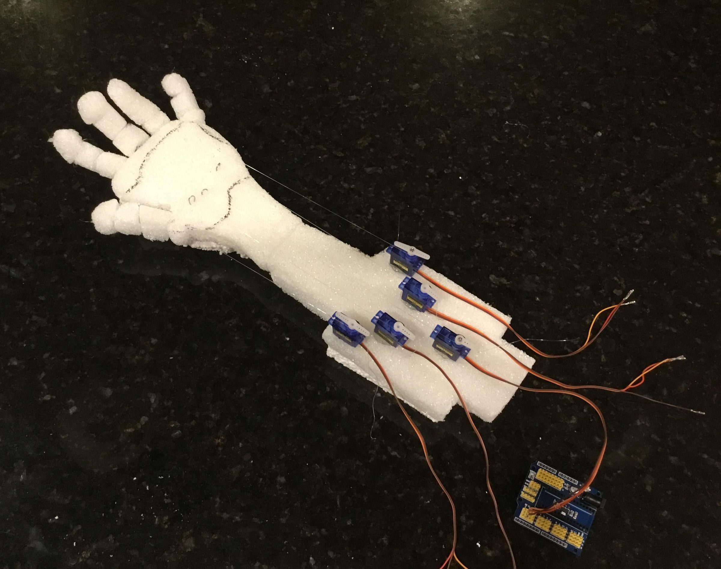 Robotic Hand
