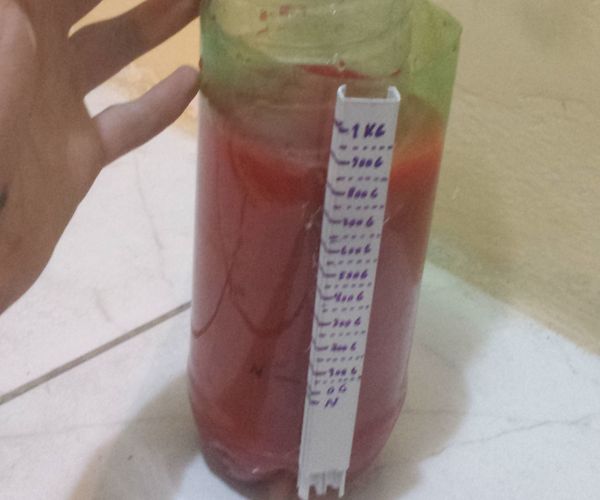 Balança Pet Regulavel