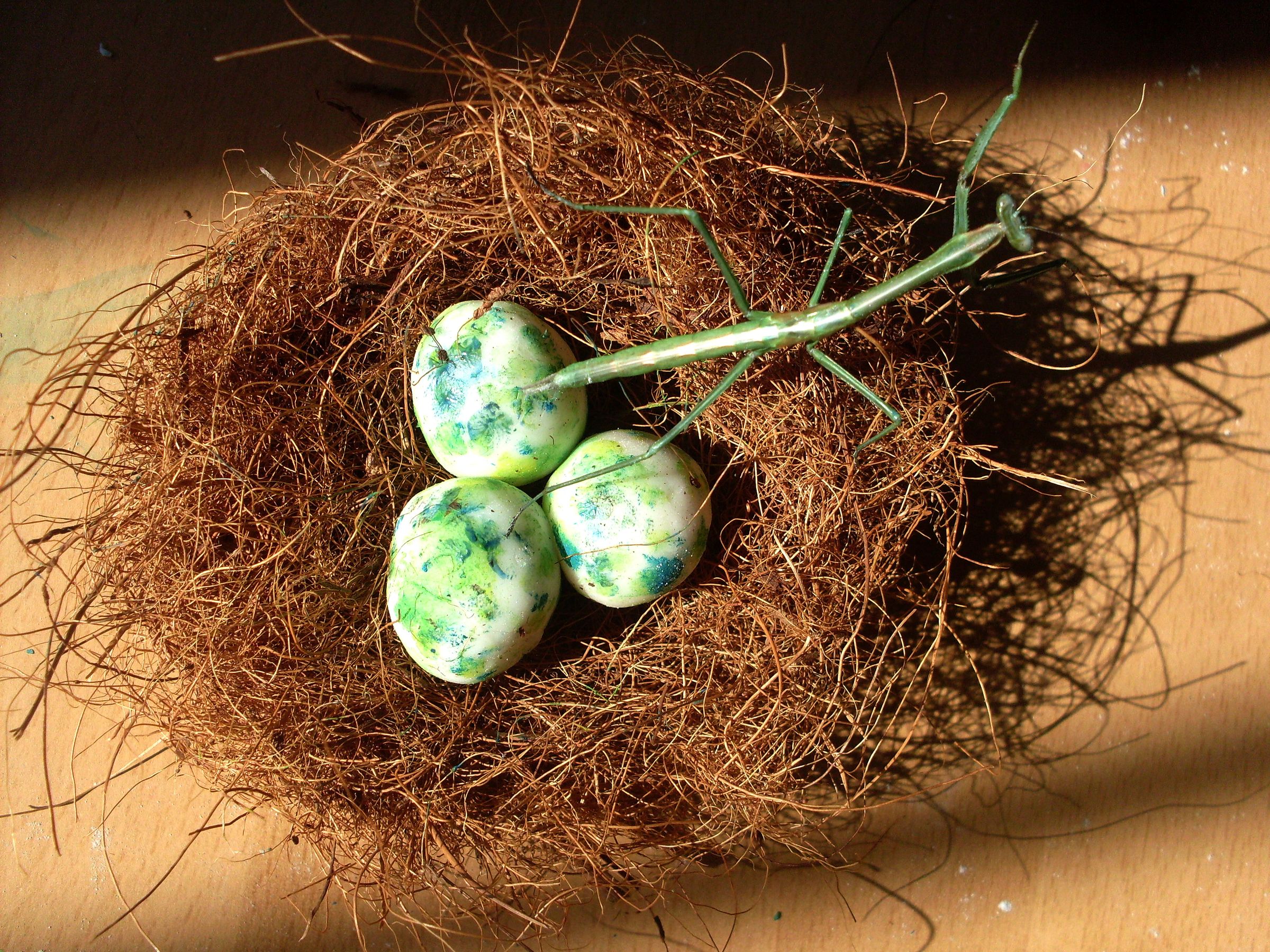 How to Build a Bird's Nest & Cold Porcelain Clay Eggs (New Recipe!)