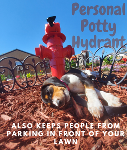 Backyard Fire Hydrant 