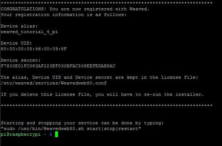 Enter Your Weaved Login Information.