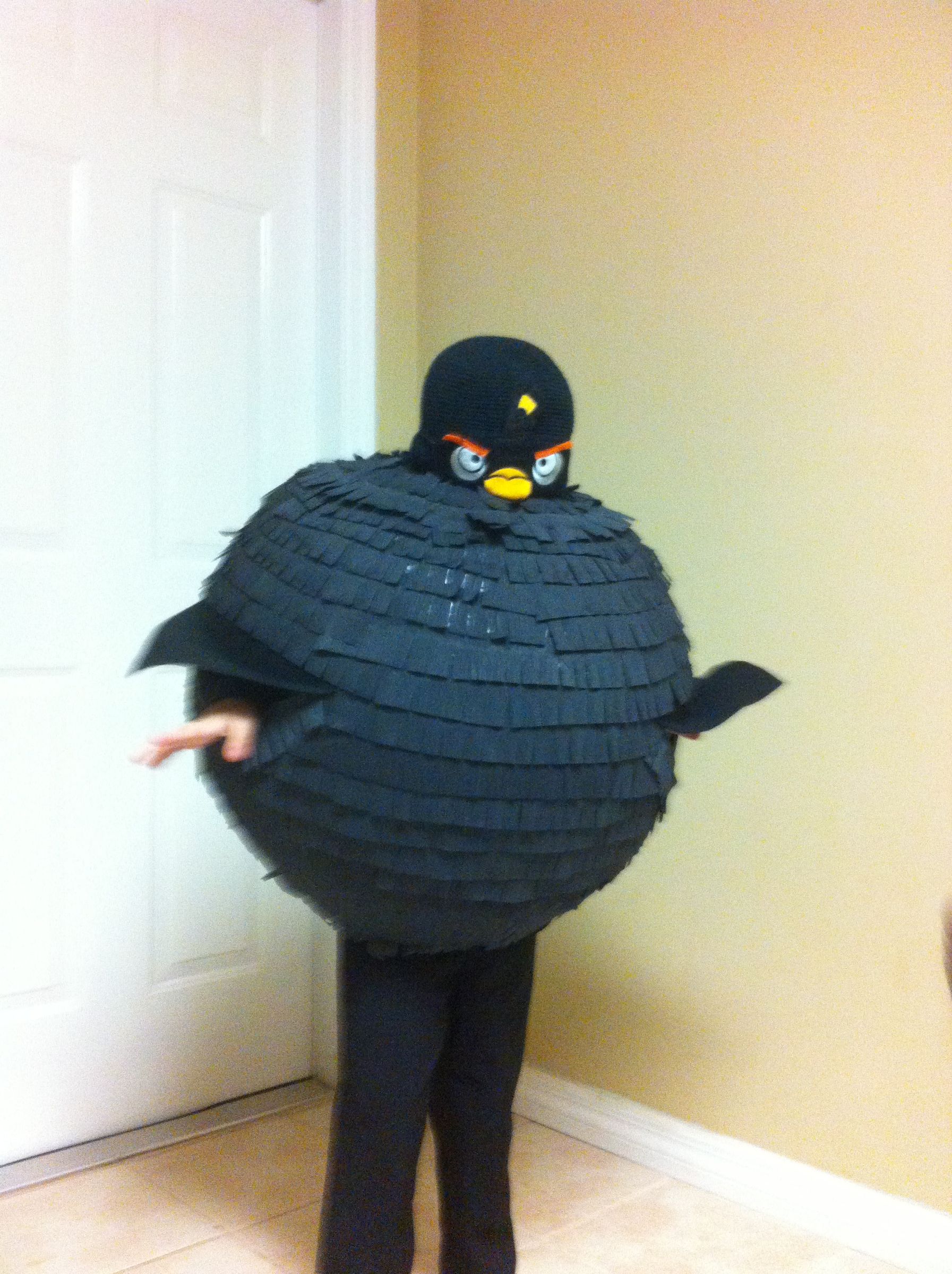 Black Angry Bird Costume