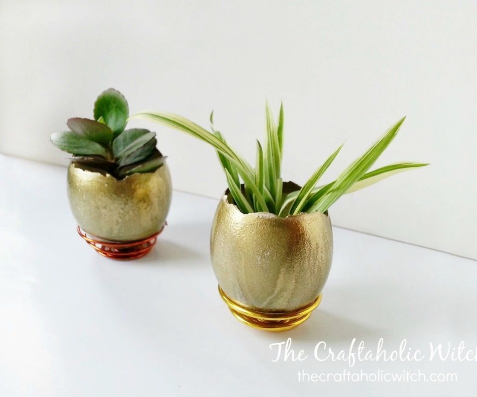 DIY Egg Shell Planters