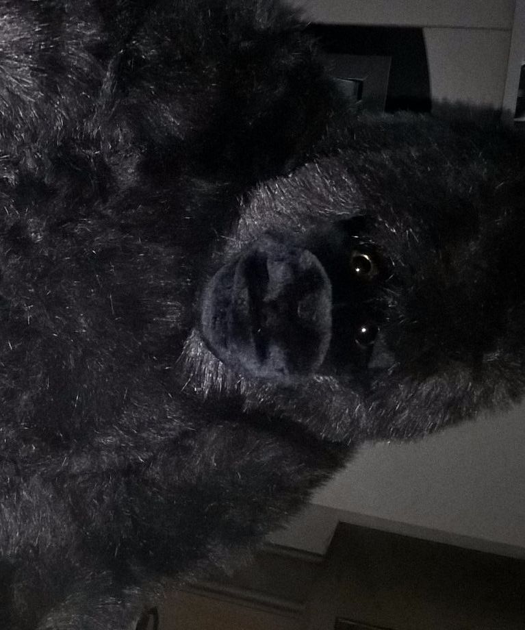 Blues Brothers Gorilla