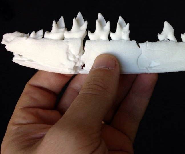 Why 3D Printing Will Save Your Life One Day