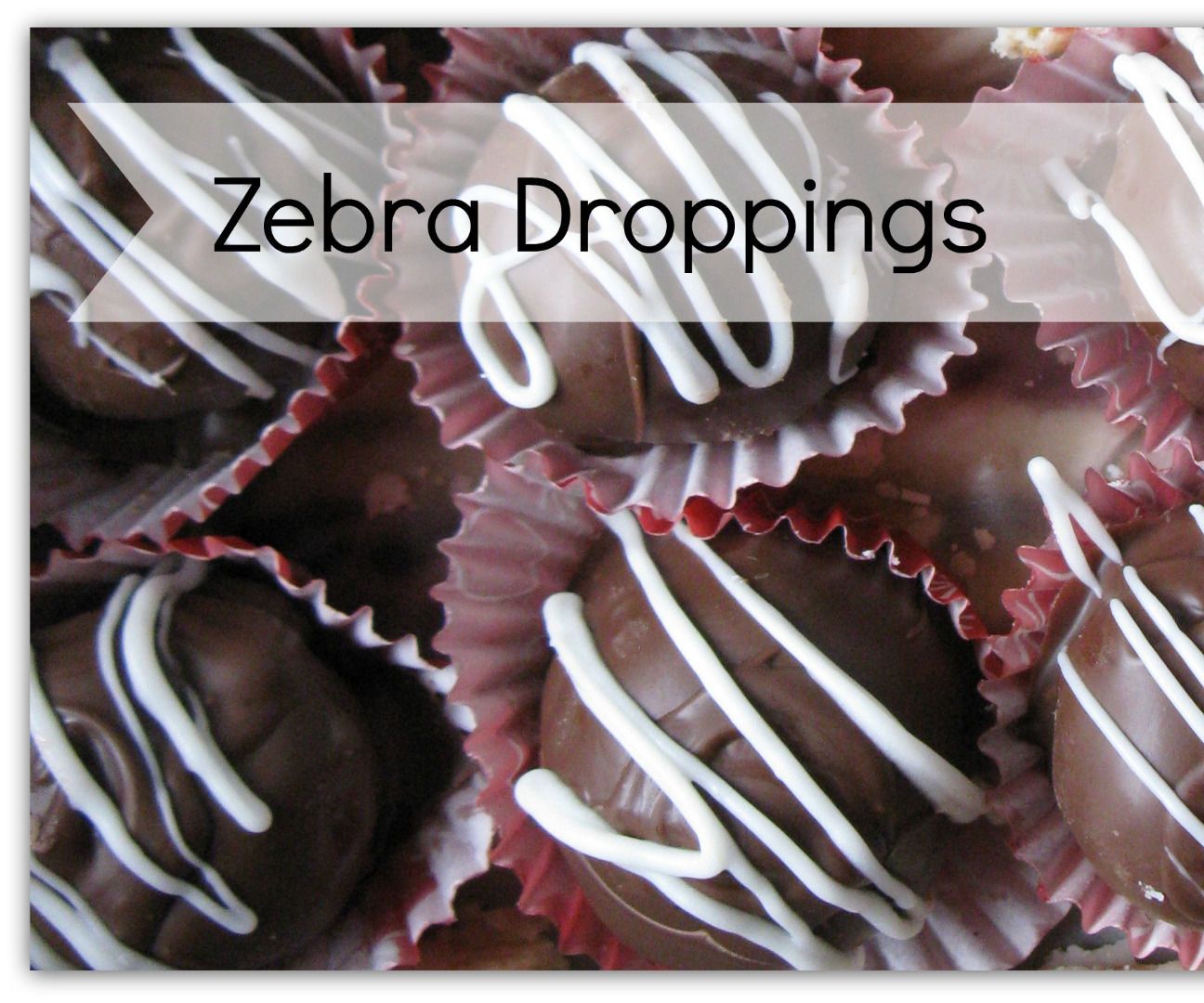 Zebra Droppings