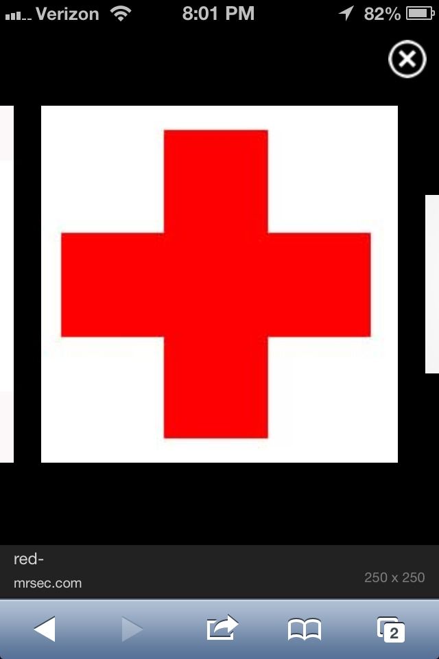 Doggy First Aid