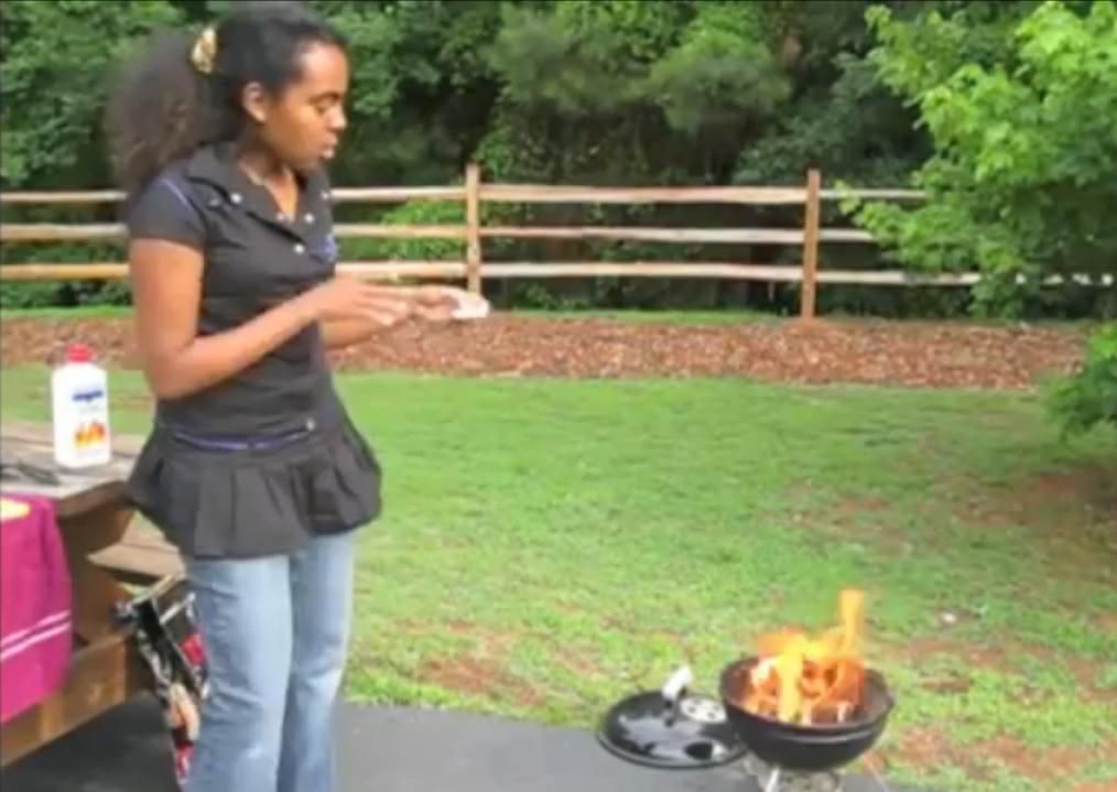 BBQ Grilling at a Park