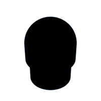 download {{ file.name }}