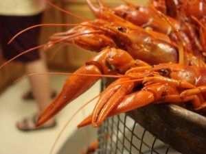 Eat Invasive Species: Cajun and Swedish Style Rusty Crayfish Boils