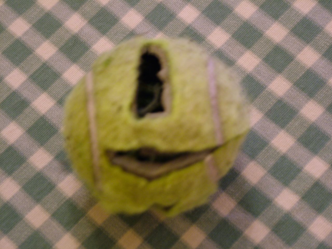 How to Make an Awesome Cat Toy