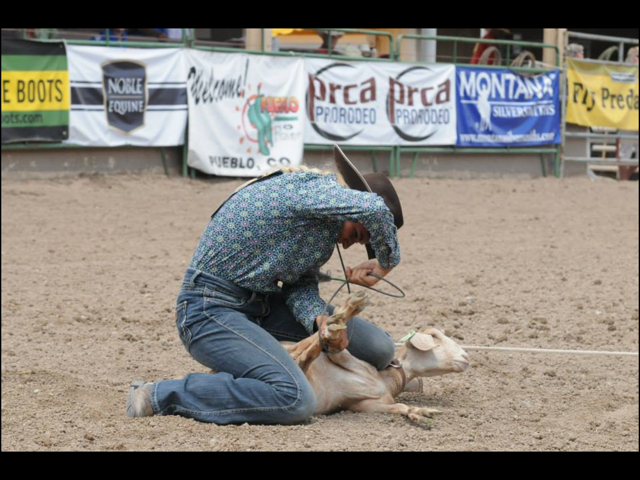 How to Tie a Goat