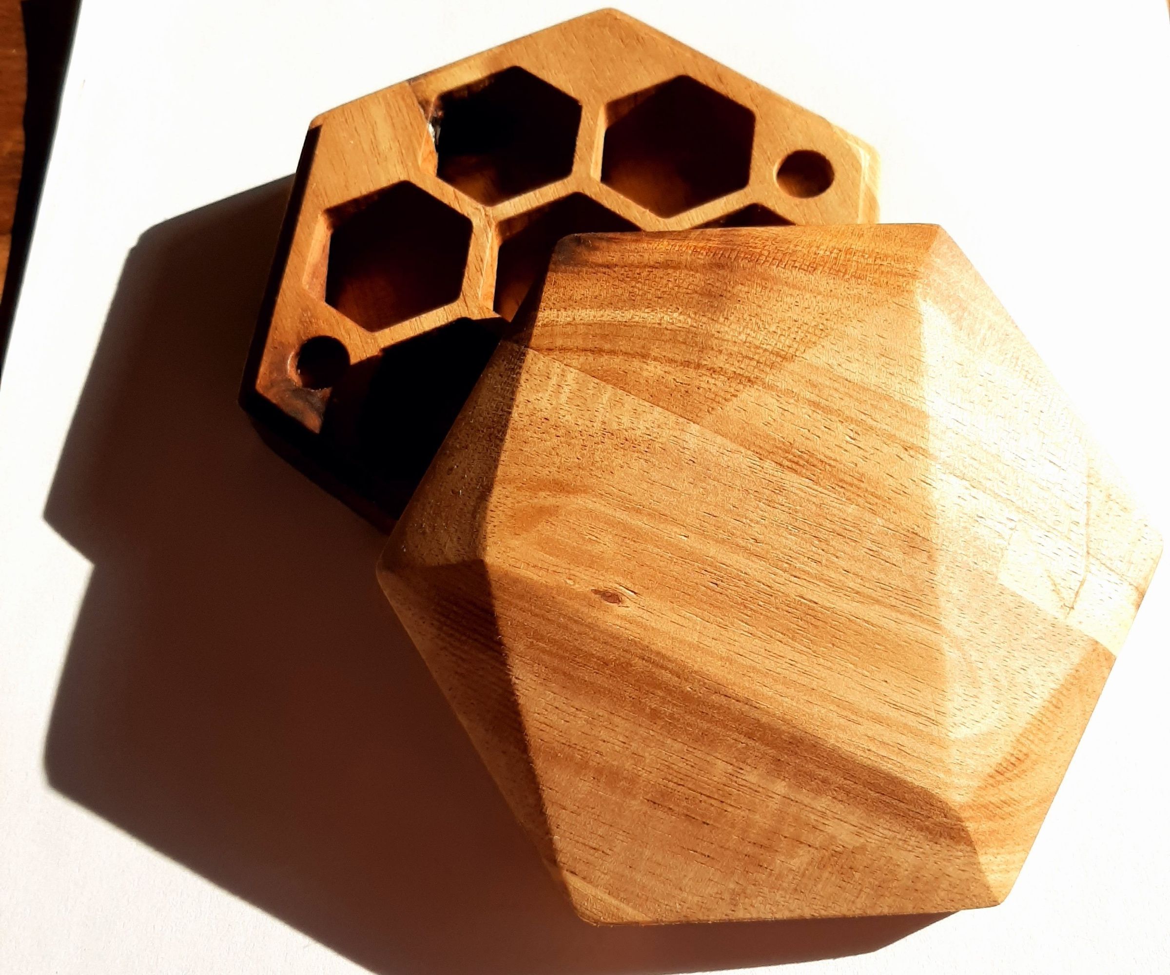 D20 Dicebox