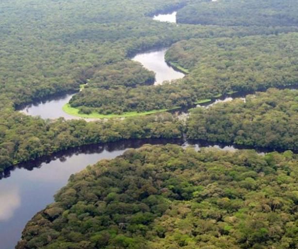 Congo Basin Cooling Hut: a Habitat Designed for Existing Inhabitants