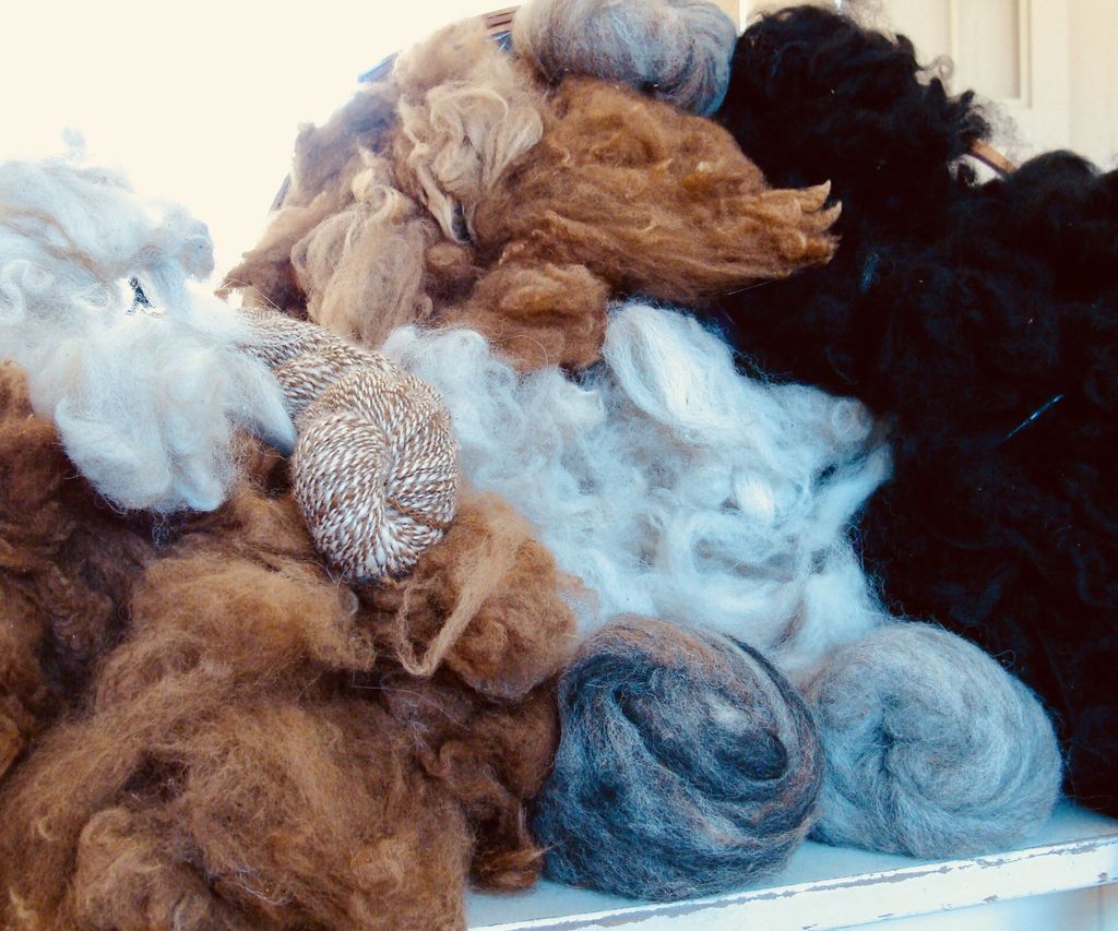 Alpaca Fleece . . . . Now What? 10 Steps (with Pictures) Instructables