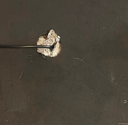 Gluing Pictures & Alligator Clips