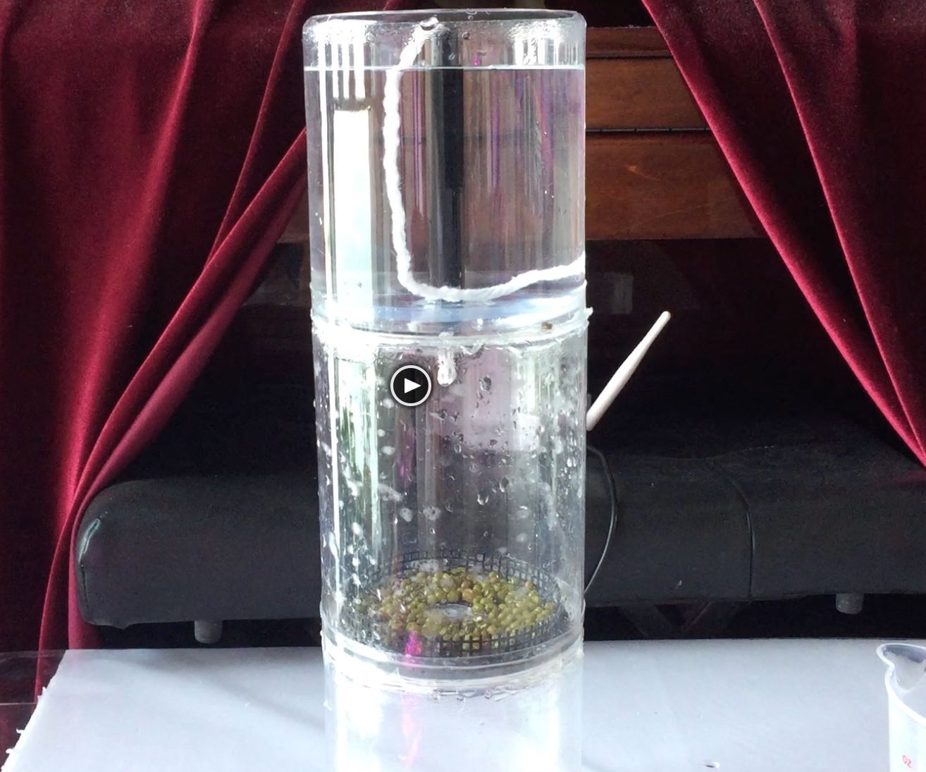 Capillary Action Bean Sprouter