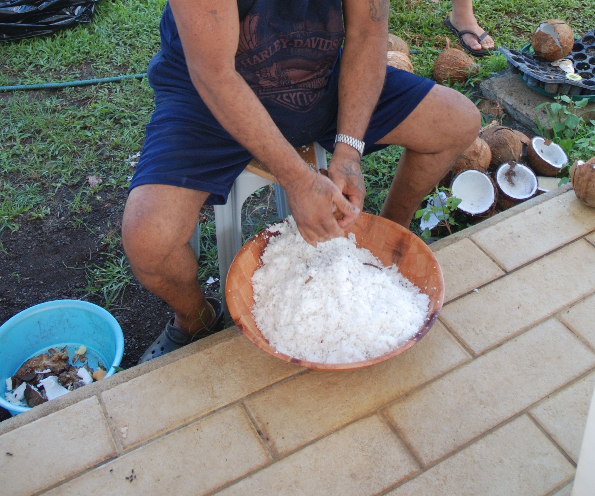 Coconut Shredding Tool