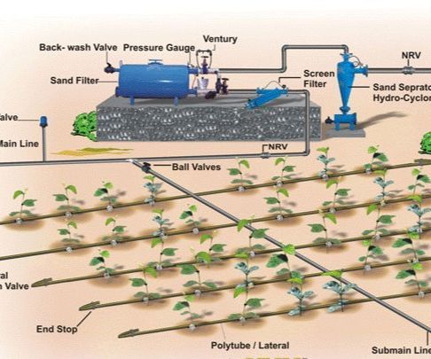 GSM Based Automated Irrigation System Using Rain-Gun