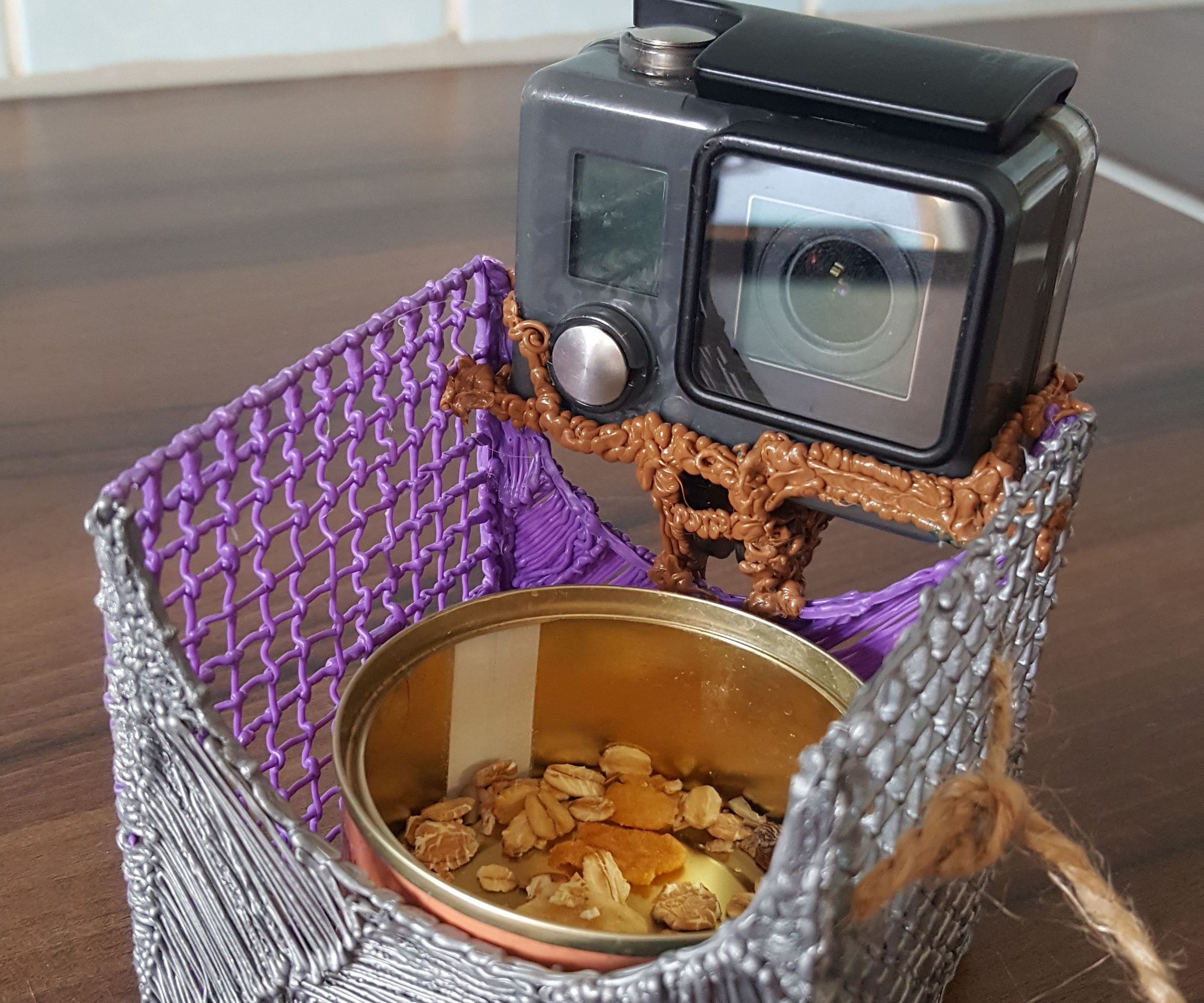 Bird Feeder and Camera Holder