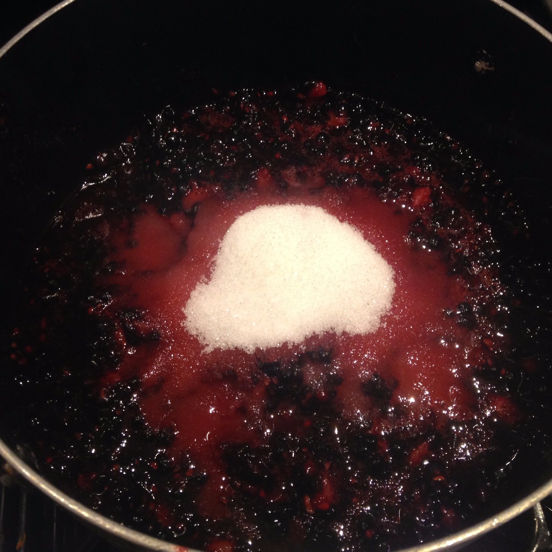 Blackberry Quick Jam 4 Steps (with Pictures) Instructables