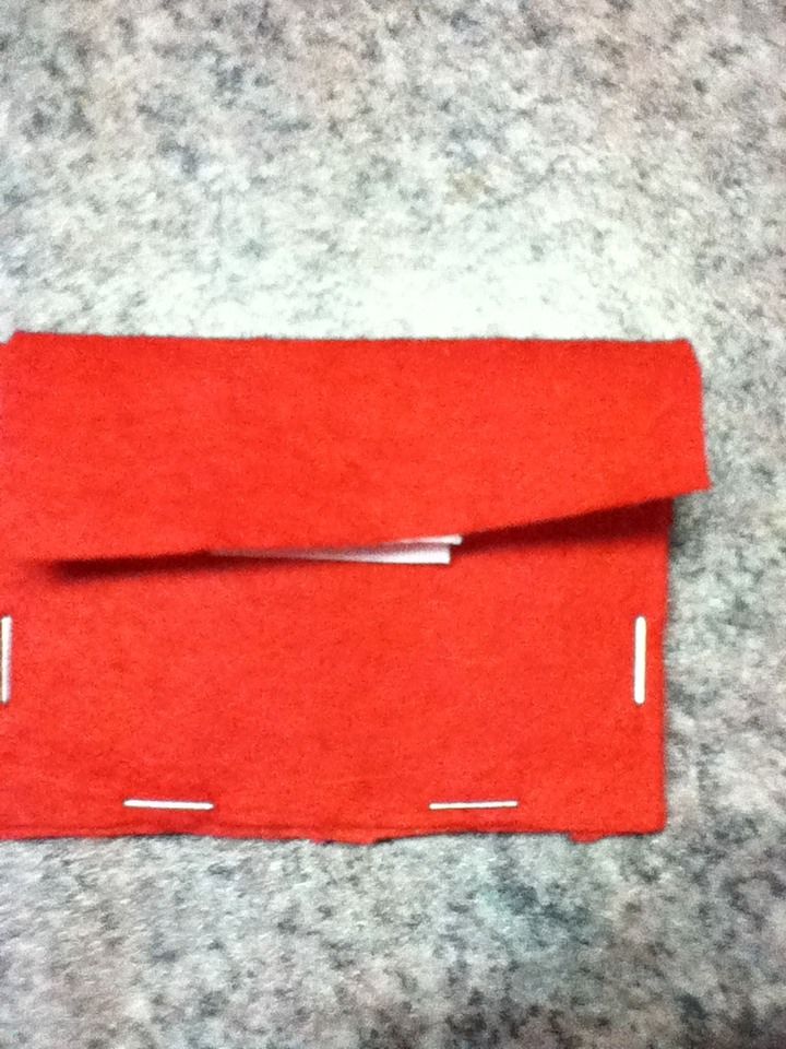 Credit Card/ Money Pouch