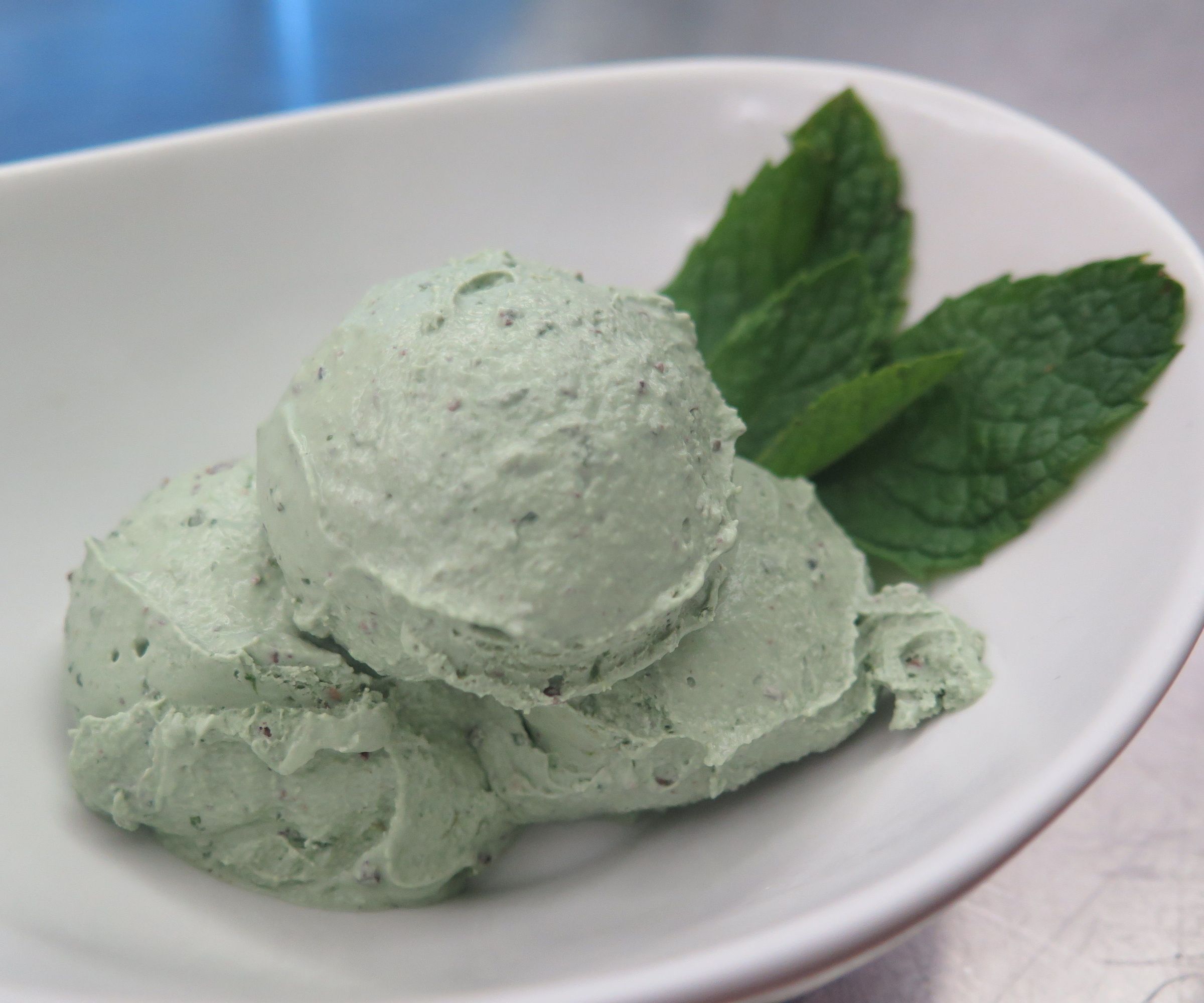 Healthful Mint Chip Ice Cream (vegan)