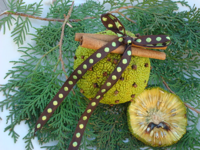 Osage Orange Pomander or Room Freshener