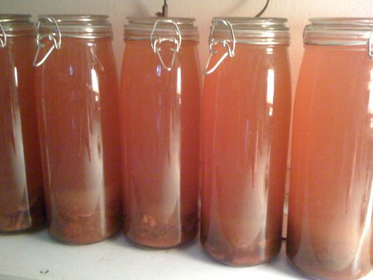 Plum Infused Vodka