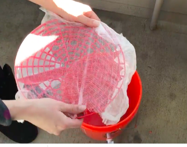 Prepare Bucket