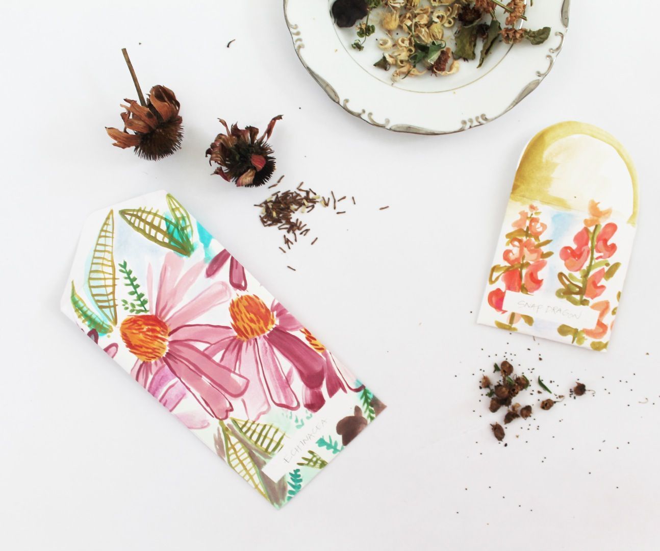 Watercolor Seed Packets