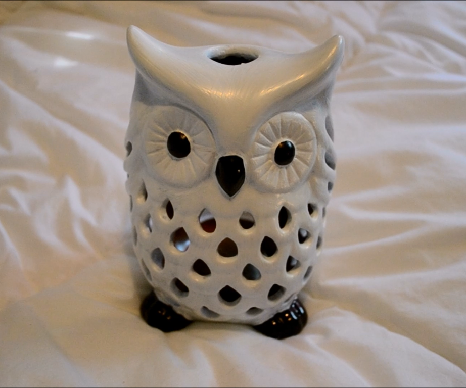 Hedwig Harry Potter DIY | CassKnowlton