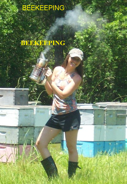 Beekeeping Business