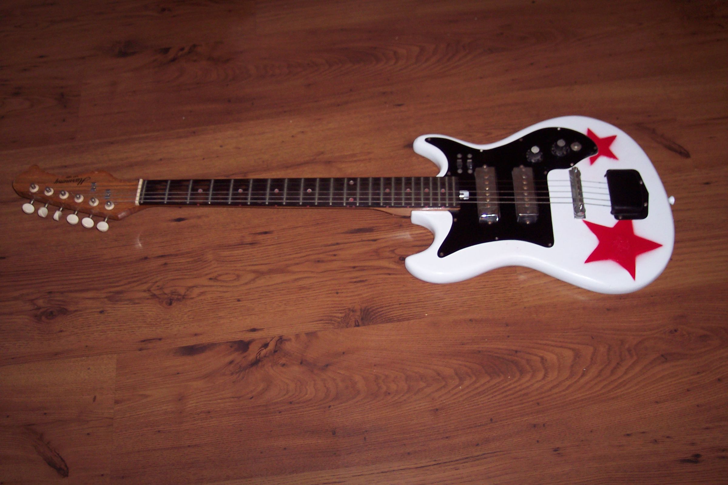 My custom painted guitar