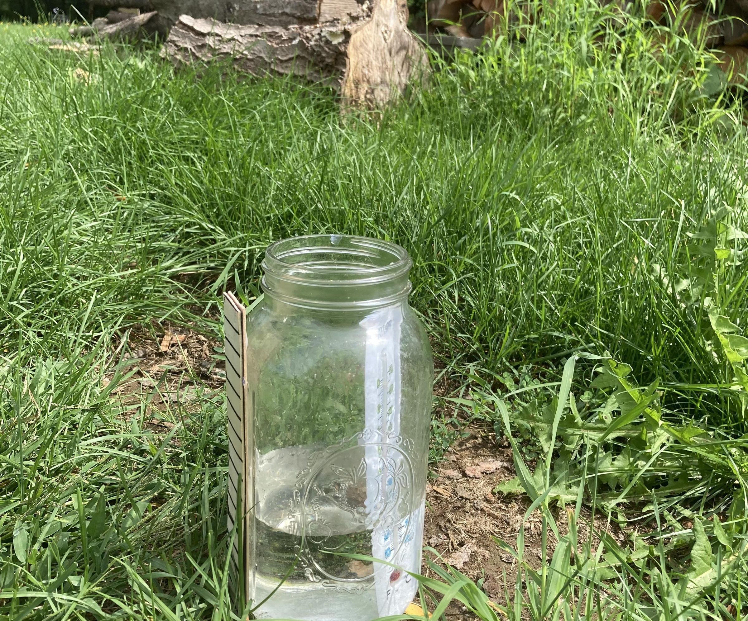 Weather Monitor 