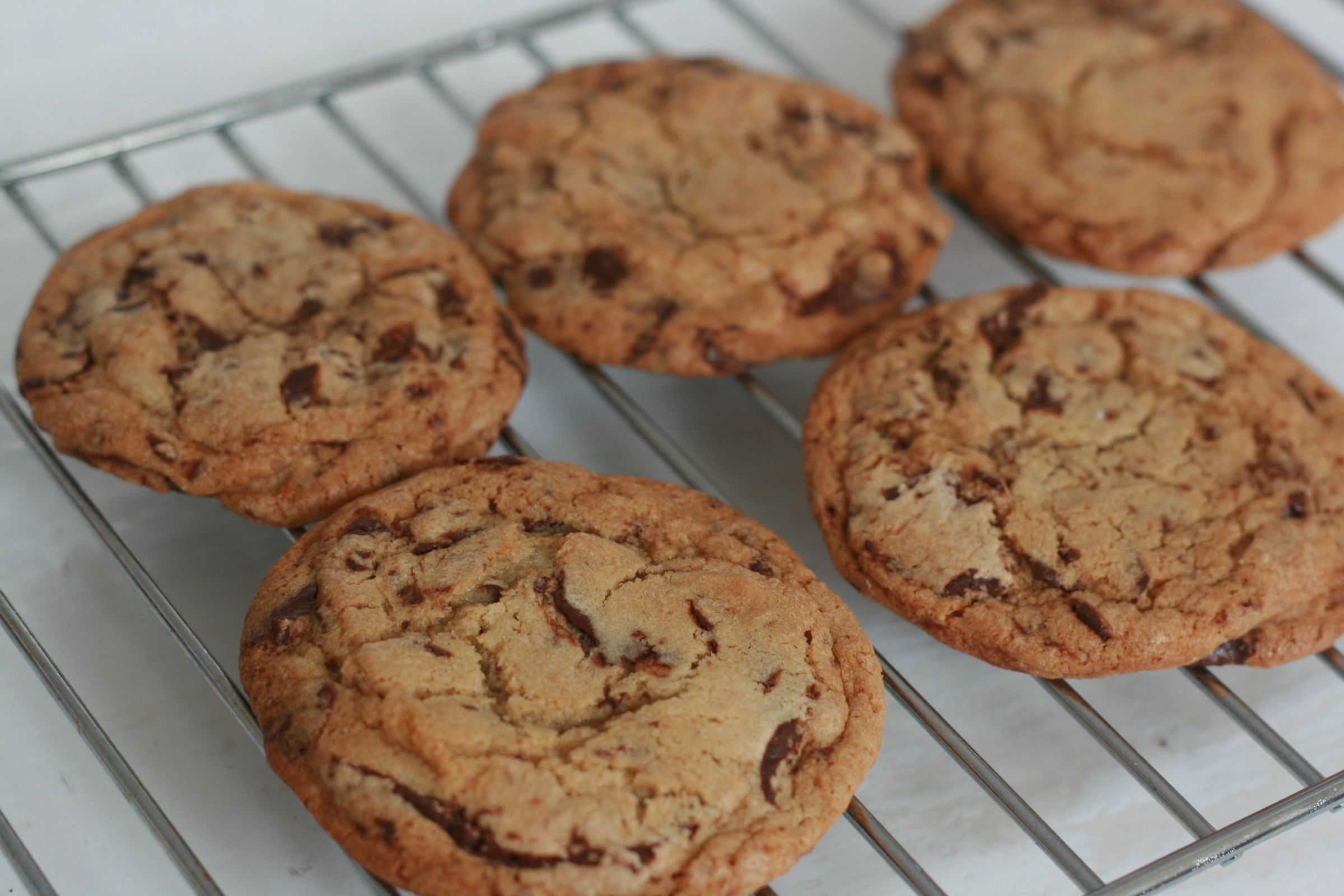 Best Ever Chocolate Chip Cookie Recipe