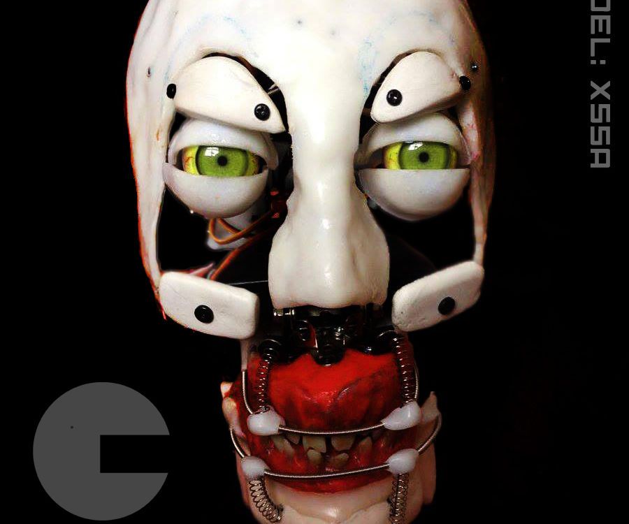 Model (X55A) Humanoid Robot