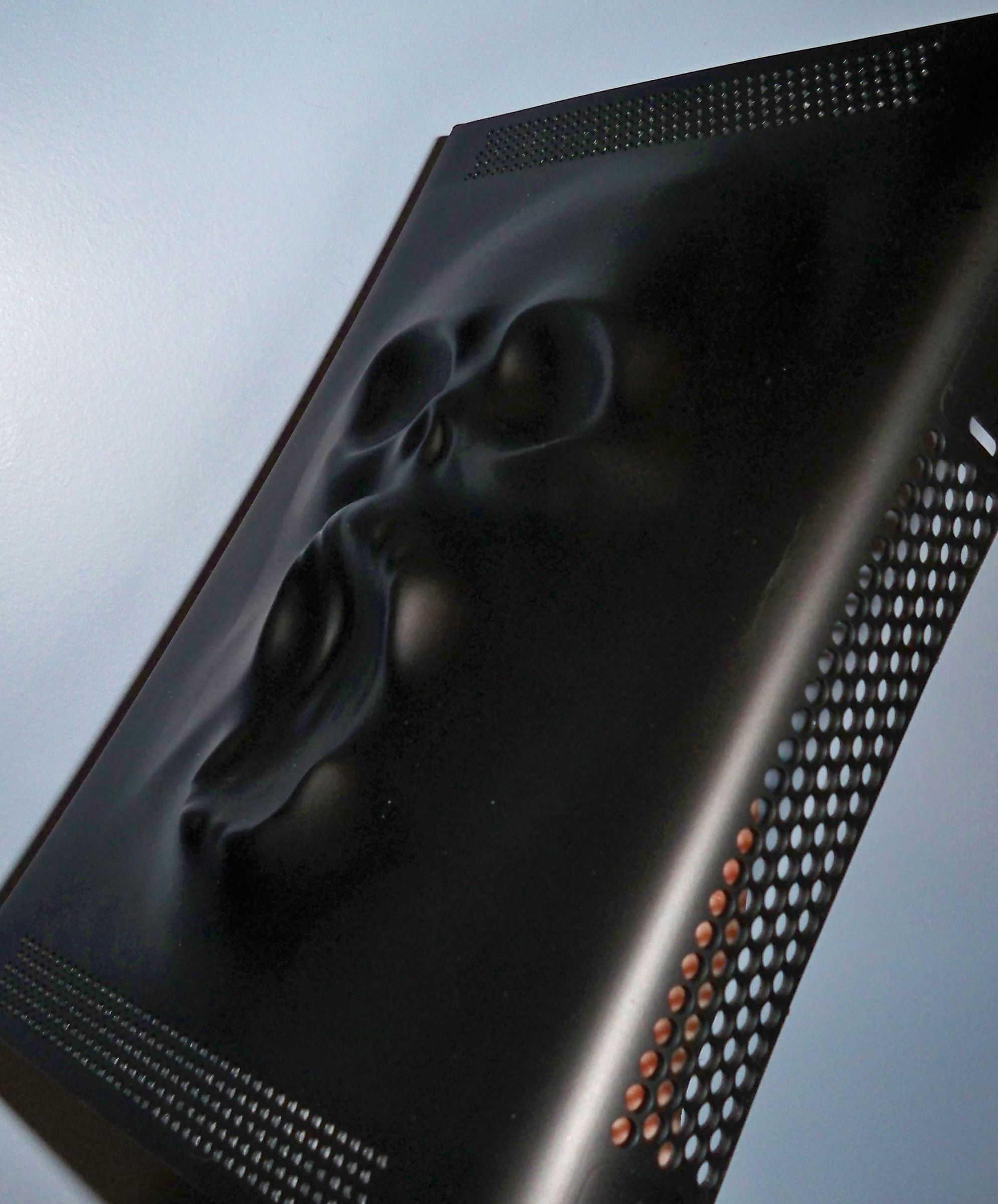 Screaming Skull Xbox 360 Case