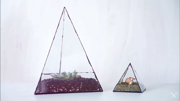 Geometric Terrarium Fail