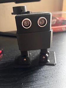 Have a Dance OFF!!