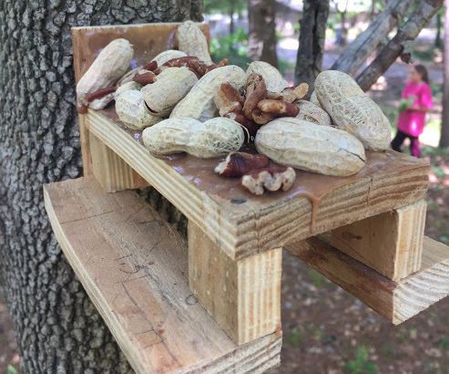 Squirrel Picnic Table