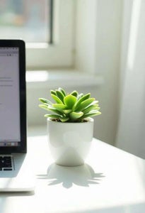 Personalize Your Space